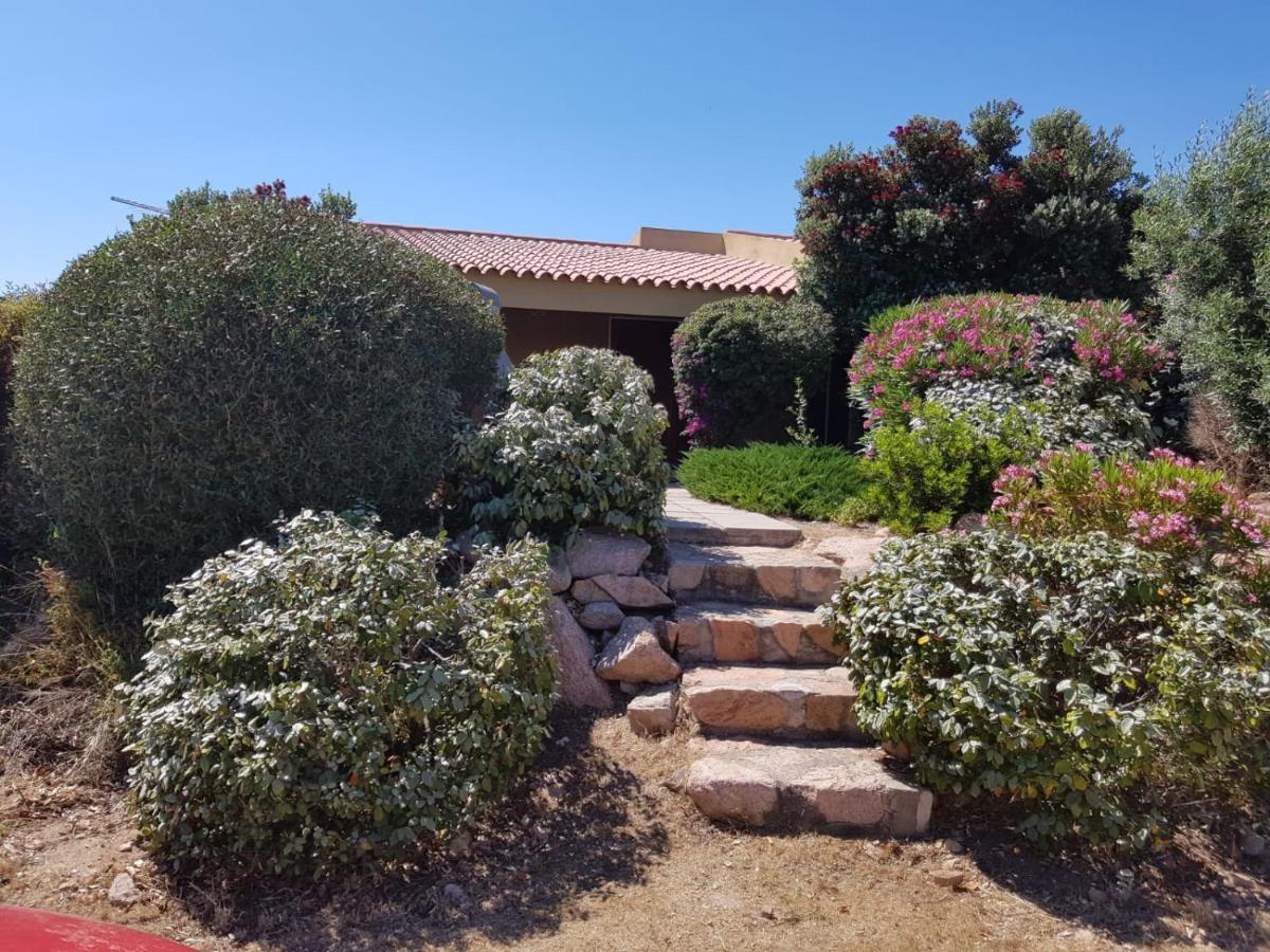 Casa Vacanze Villa Sandrina Costa Paradiso Bagian luar foto