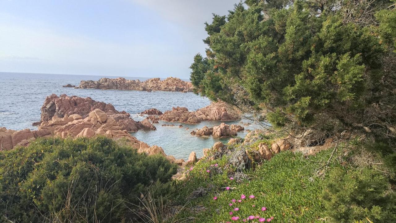 Casa Vacanze Villa Sandrina Costa Paradiso Bagian luar foto